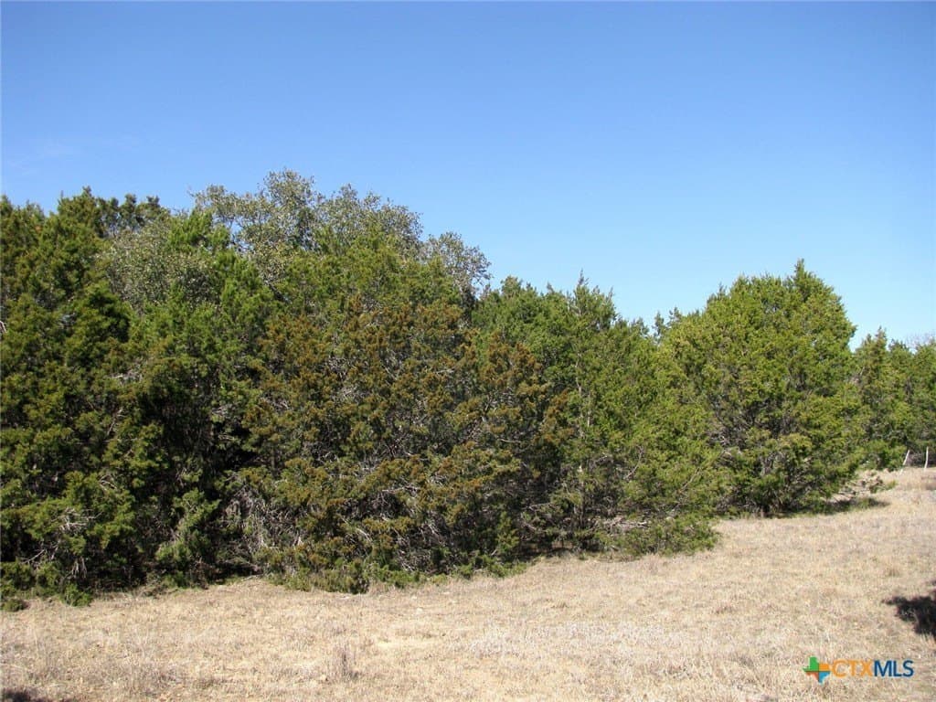 10.01 acres in Hamilton County - photo 11