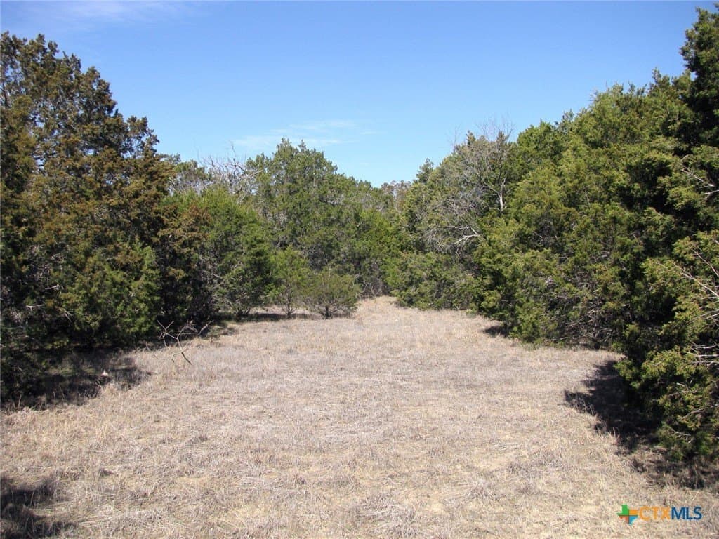 10.01 acres in Hamilton County - photo 12