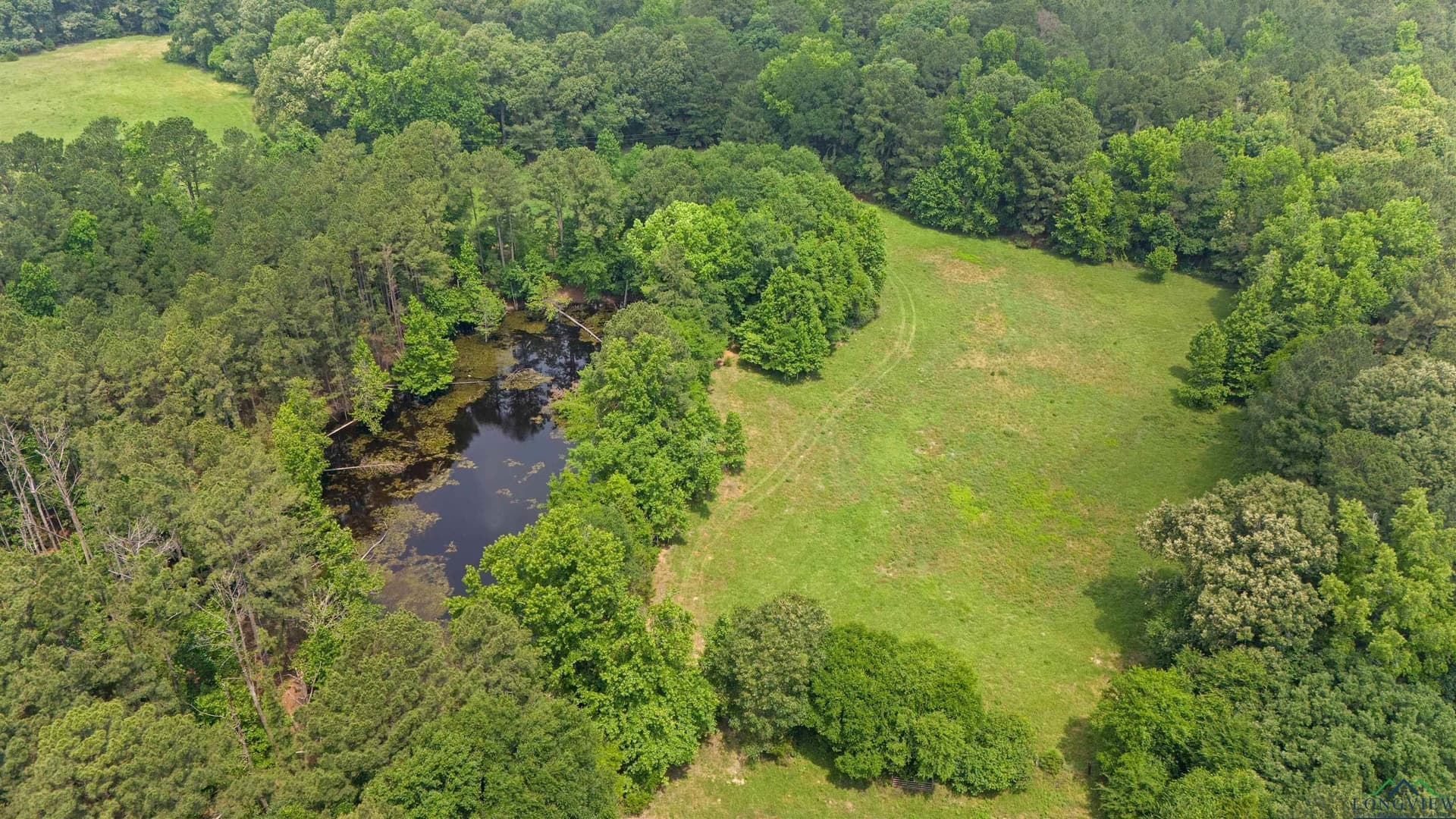 34 acres in Texas County - photo 6