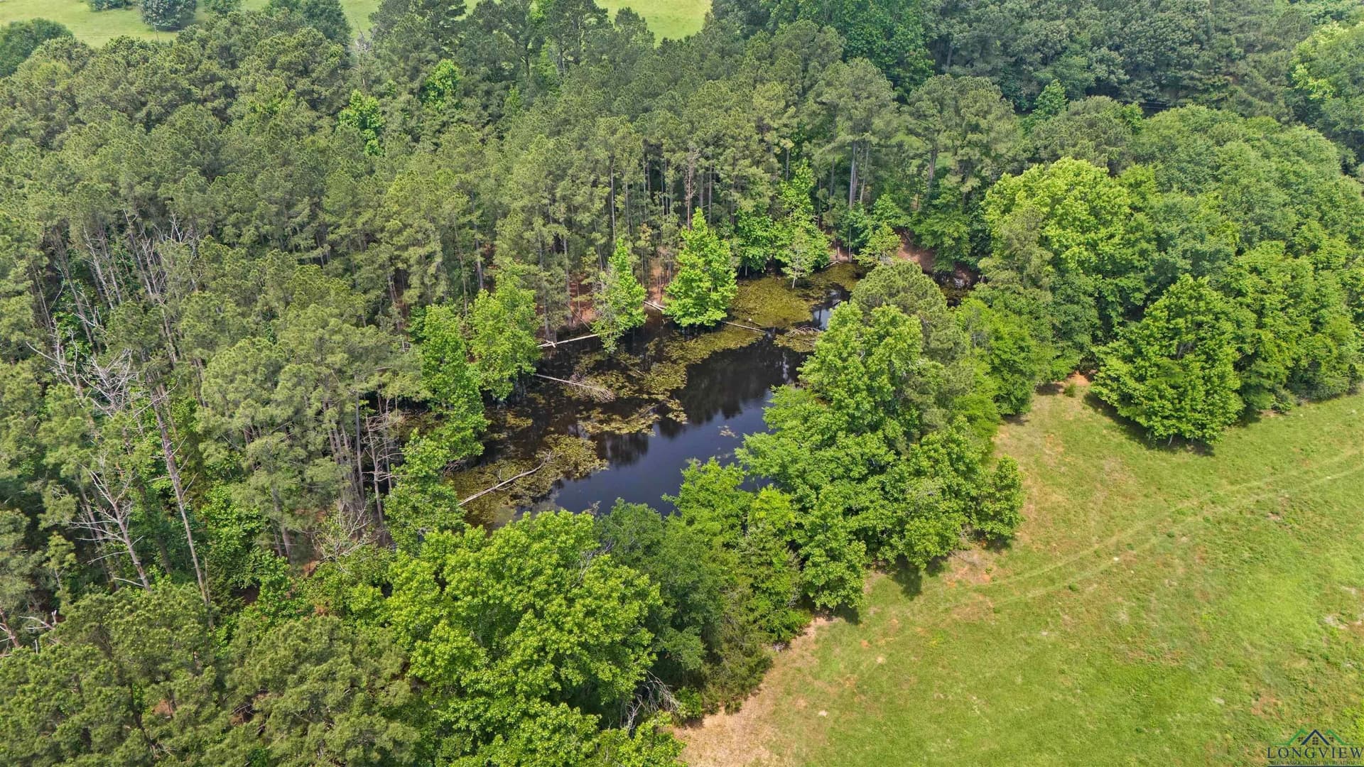 34 acres in Texas County - photo 5