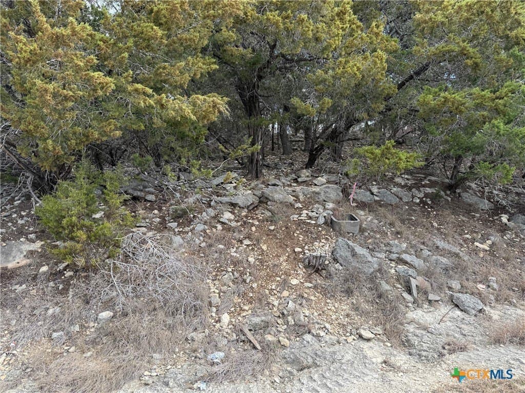 0.25 acres in Comal County - photo 6