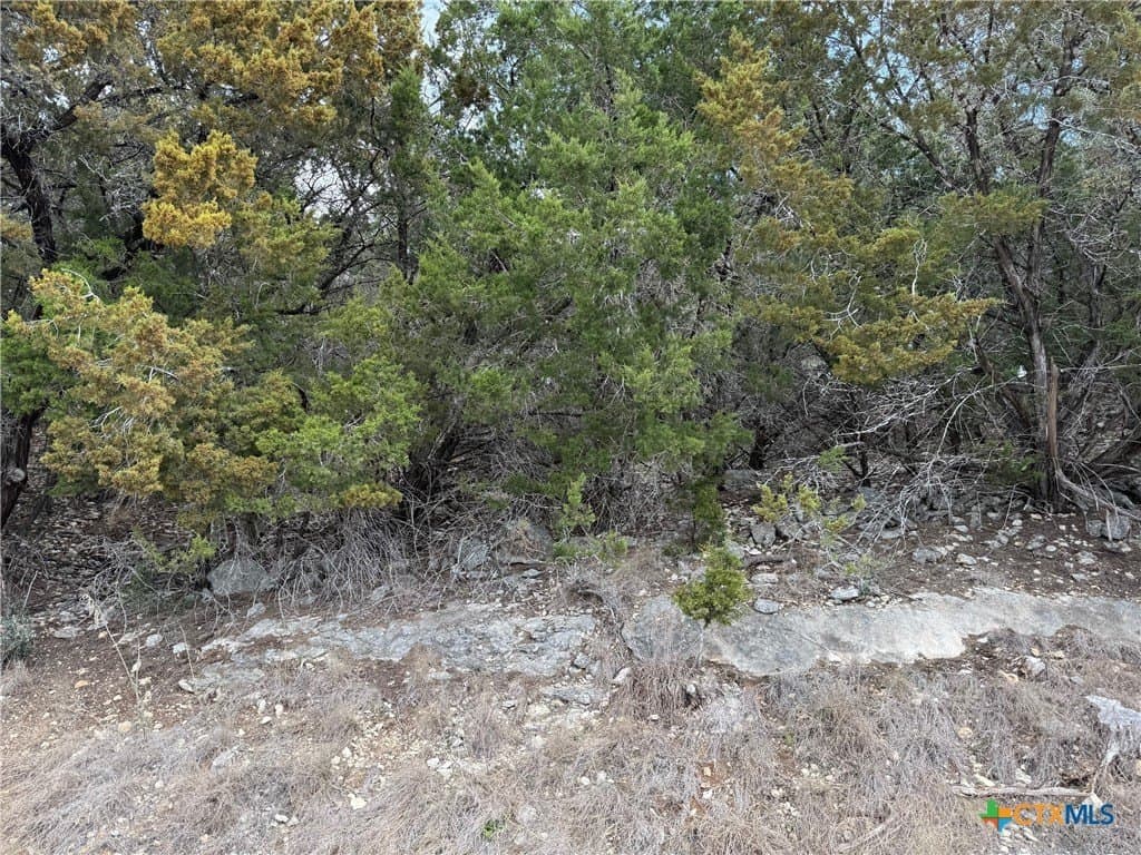 0.25 acres in Comal County - photo 5