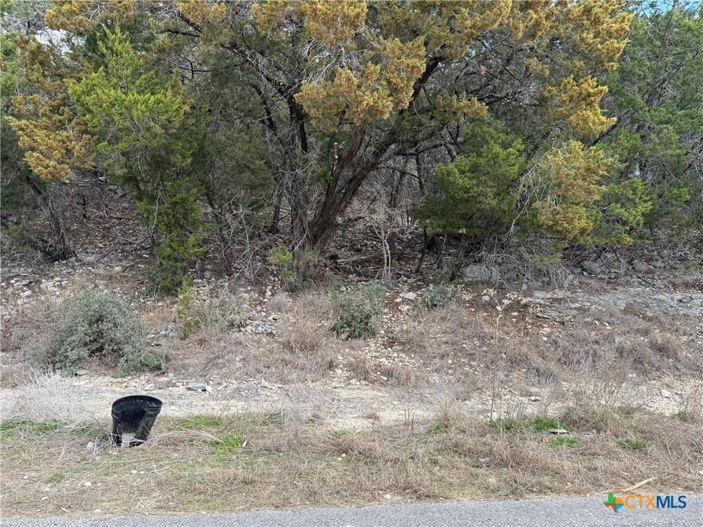 0.25 acres in Comal County - photo 4
