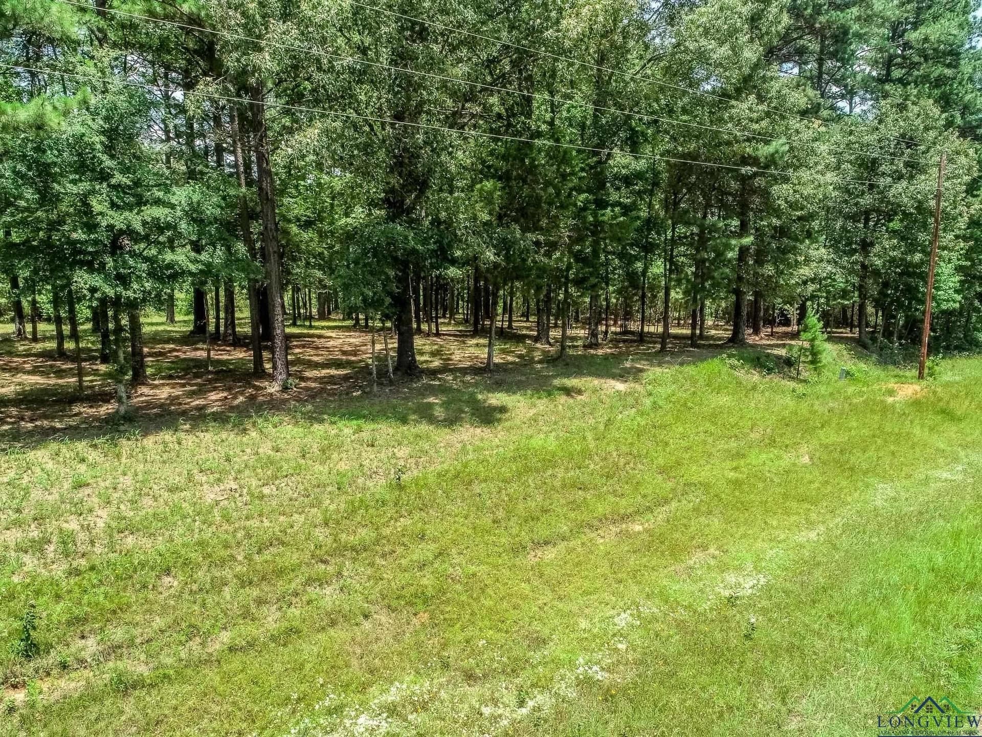 120 acres in Marion County - photo 8