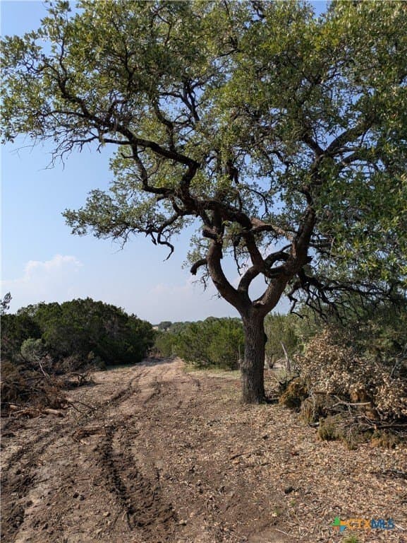 10.01 acres in Lampasas County - photo 6