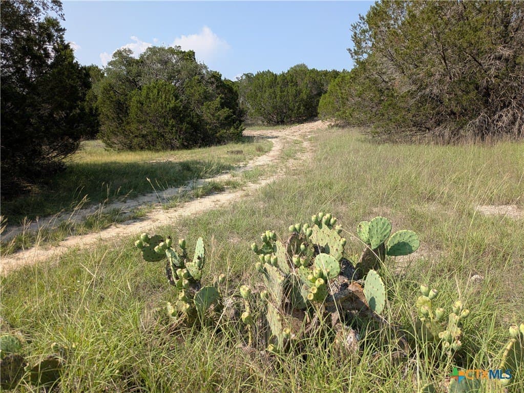 10.01 acres in Lampasas County - photo 4