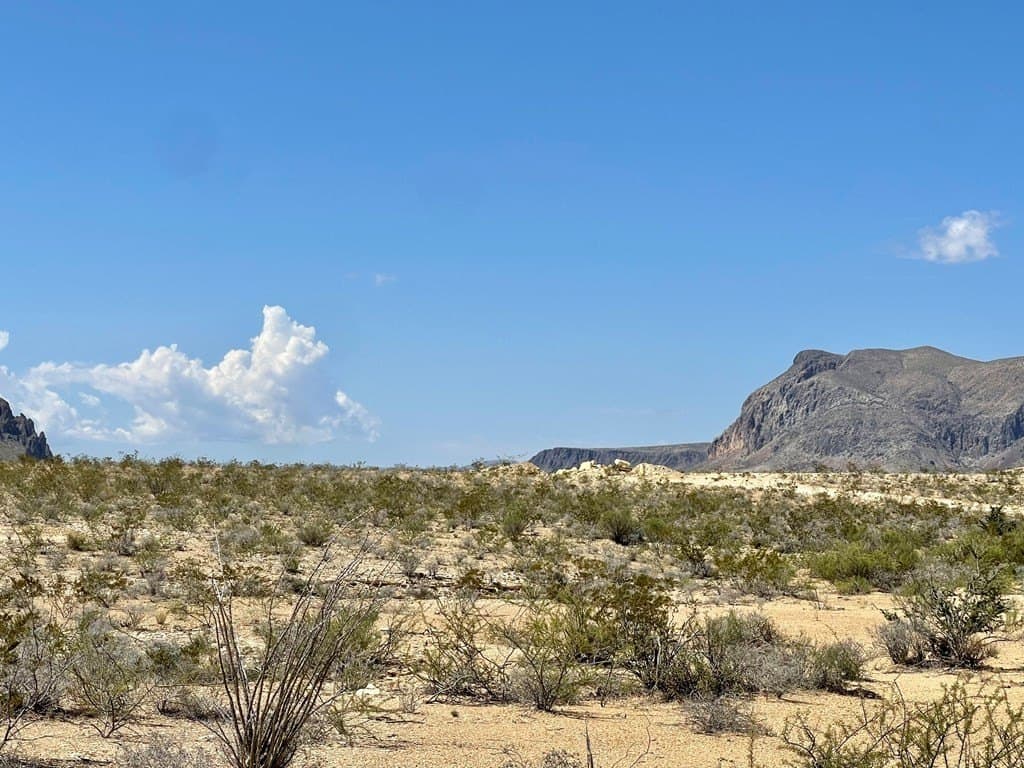 320 acres in Brewster County - photo 15