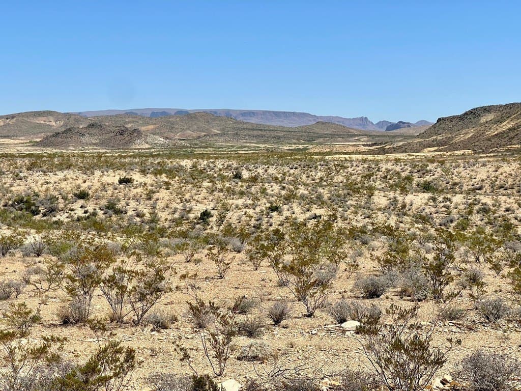 320 acres in Brewster County - photo 5