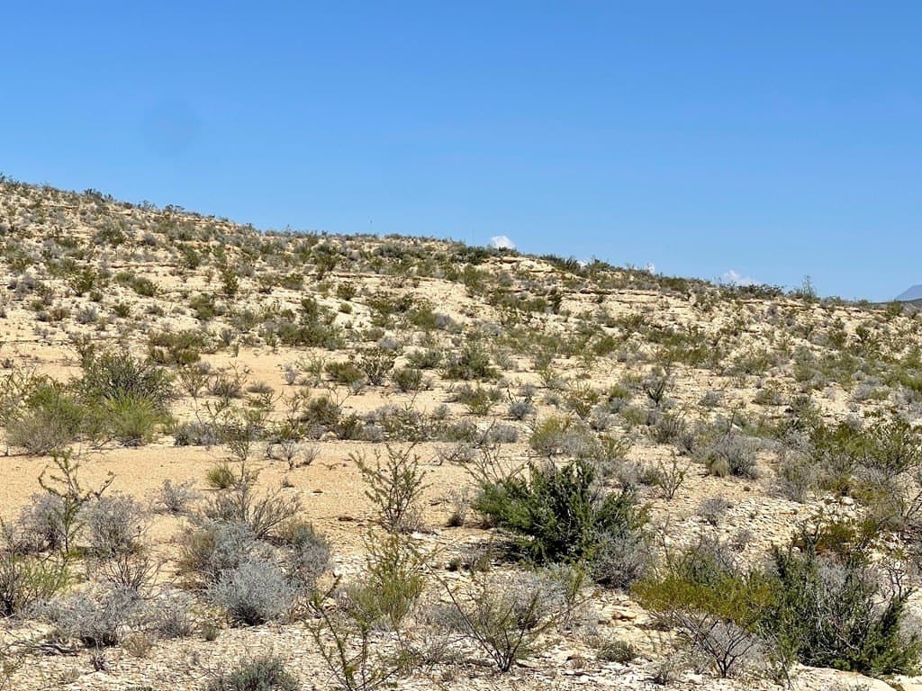 320 acres in Brewster County - photo 17