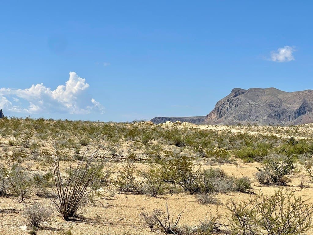 320 acres in Brewster County - photo 16