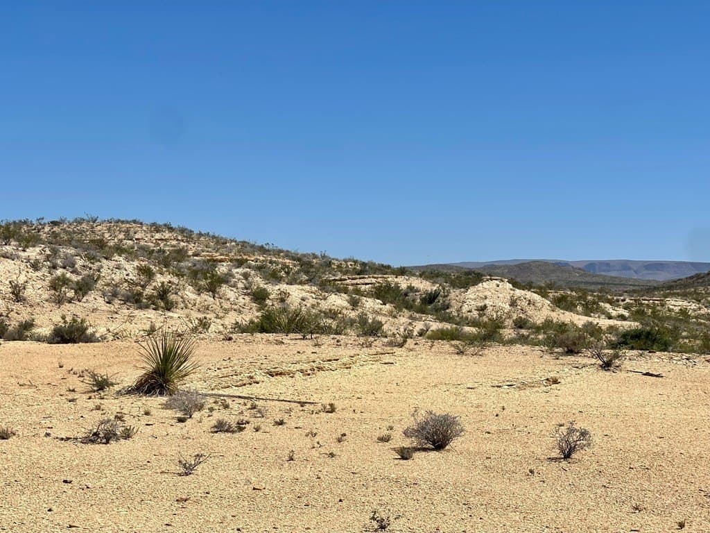 320 acres in Brewster County - photo 25