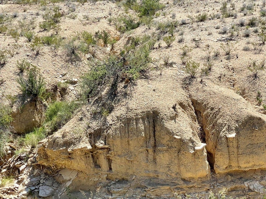 320 acres in Brewster County - photo 22