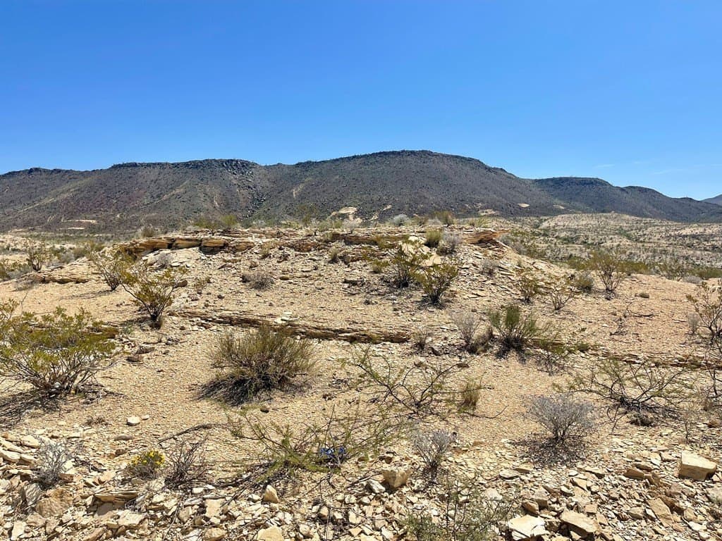 320 acres in Brewster County - photo 41