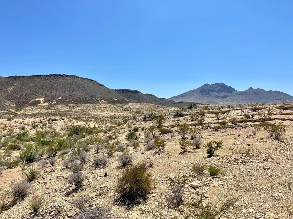 320 acres in Brewster County - photo 11