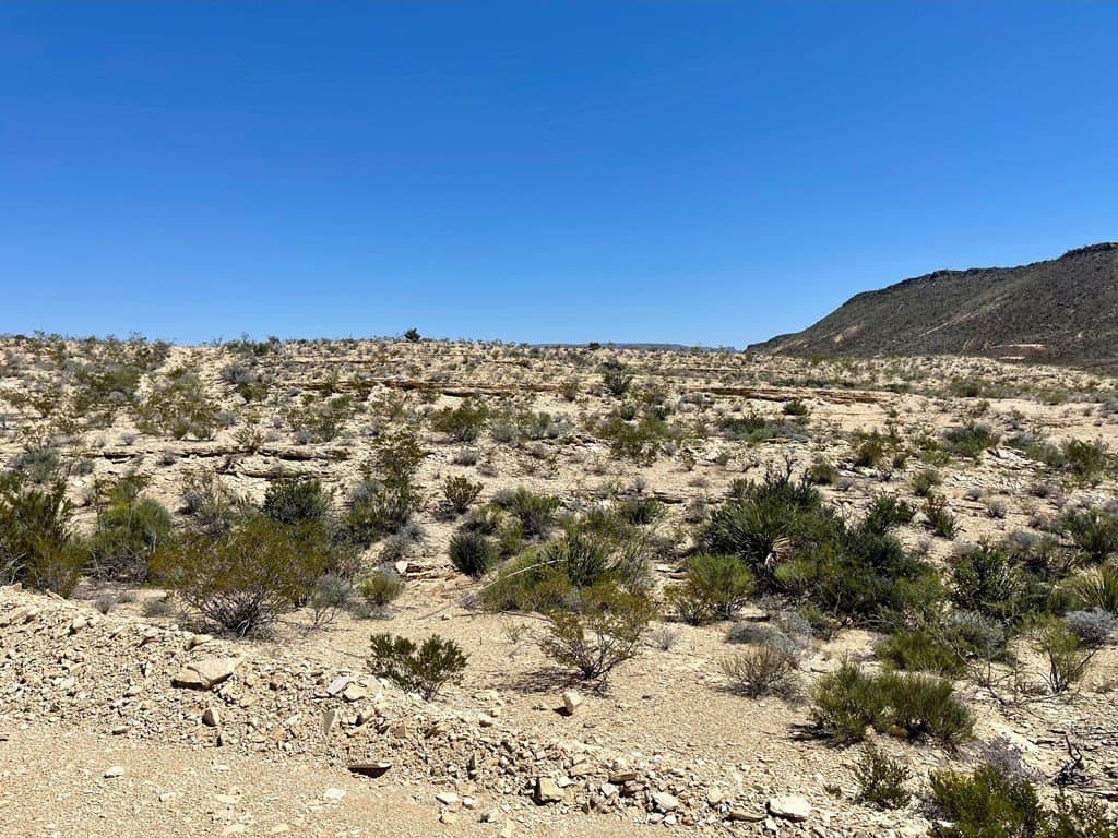 320 acres in Brewster County - photo 12