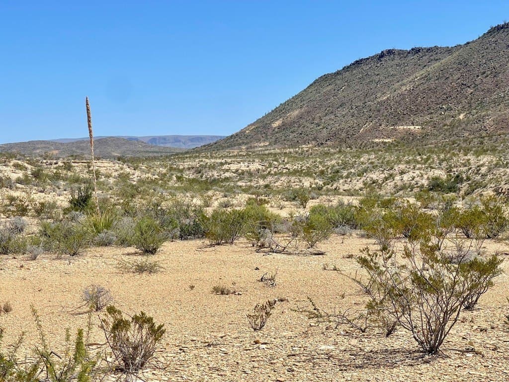 320 acres in Brewster County - photo 24