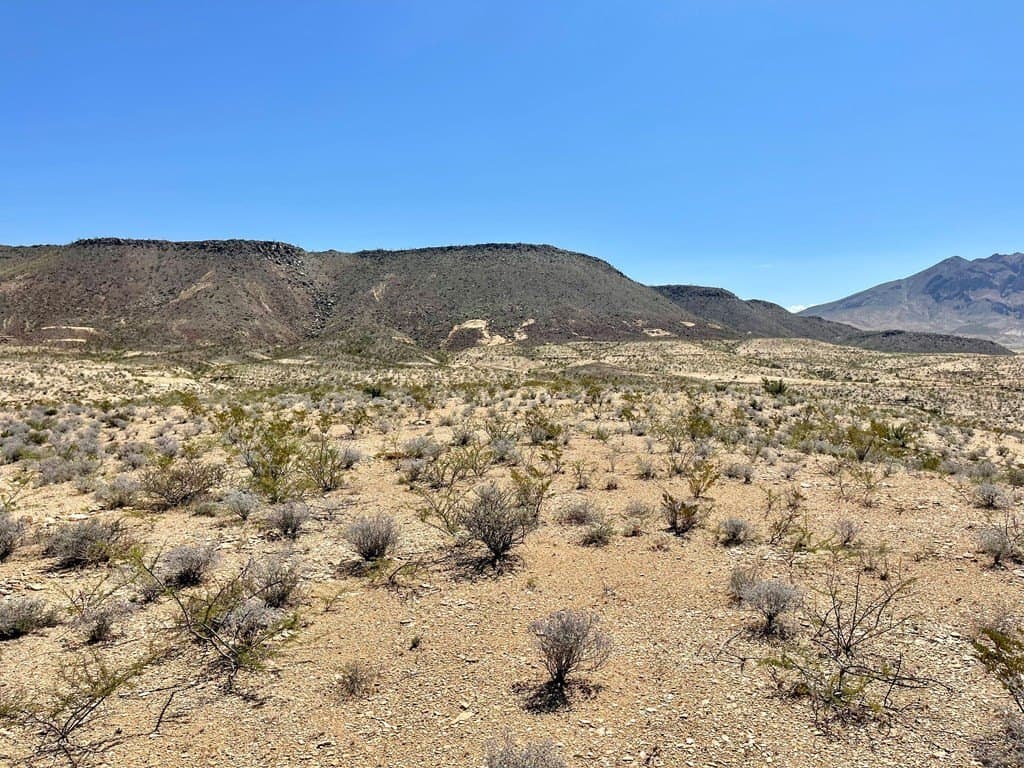 320 acres in Brewster County - photo 8