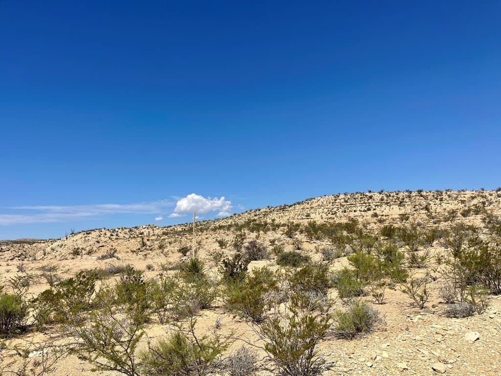 320 acres in Brewster County - photo 30