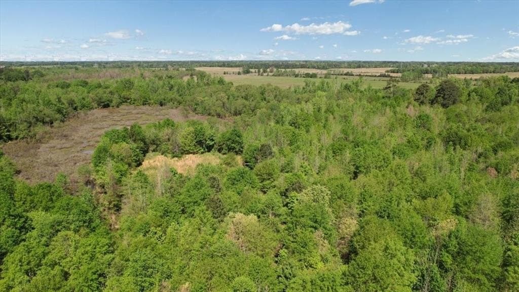 21.74 acres in Morris County - photo 12