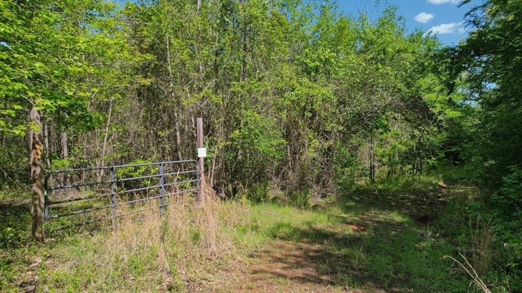 21.74 acres in Morris County - photo 7
