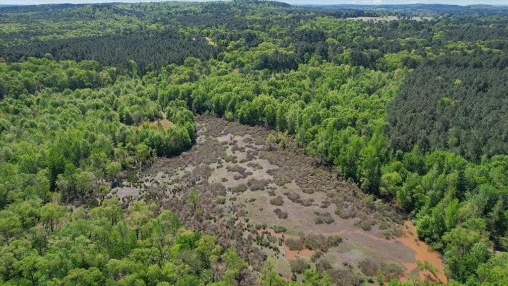21.74 acres in Morris County - photo 8