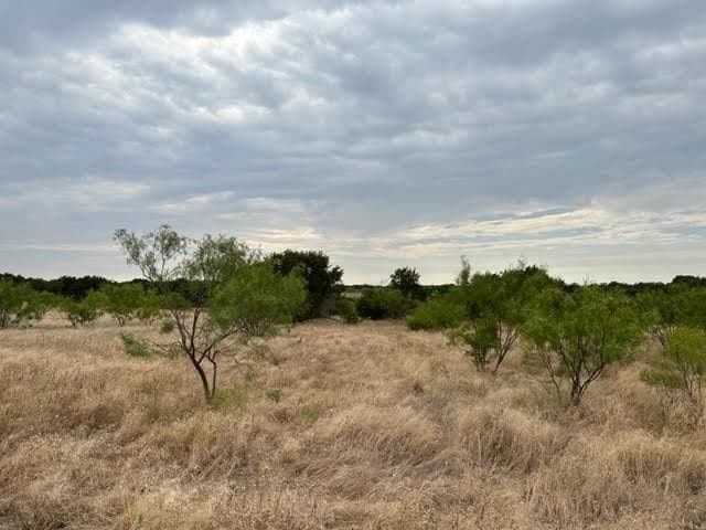 6.89 acres in Palo Pinto County - photo 3