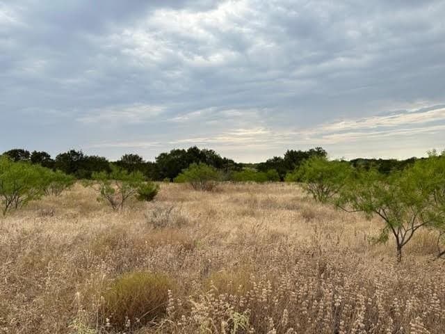 6.89 acres in Palo Pinto County - photo 5