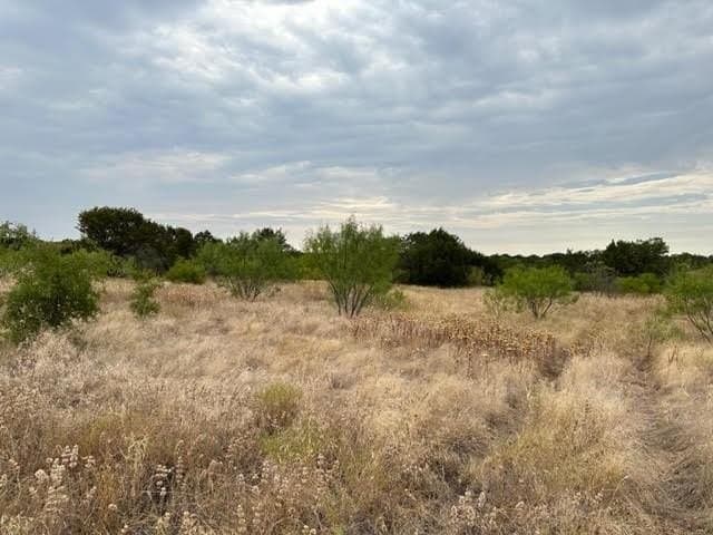 6.89 acres in Palo Pinto County - photo 4