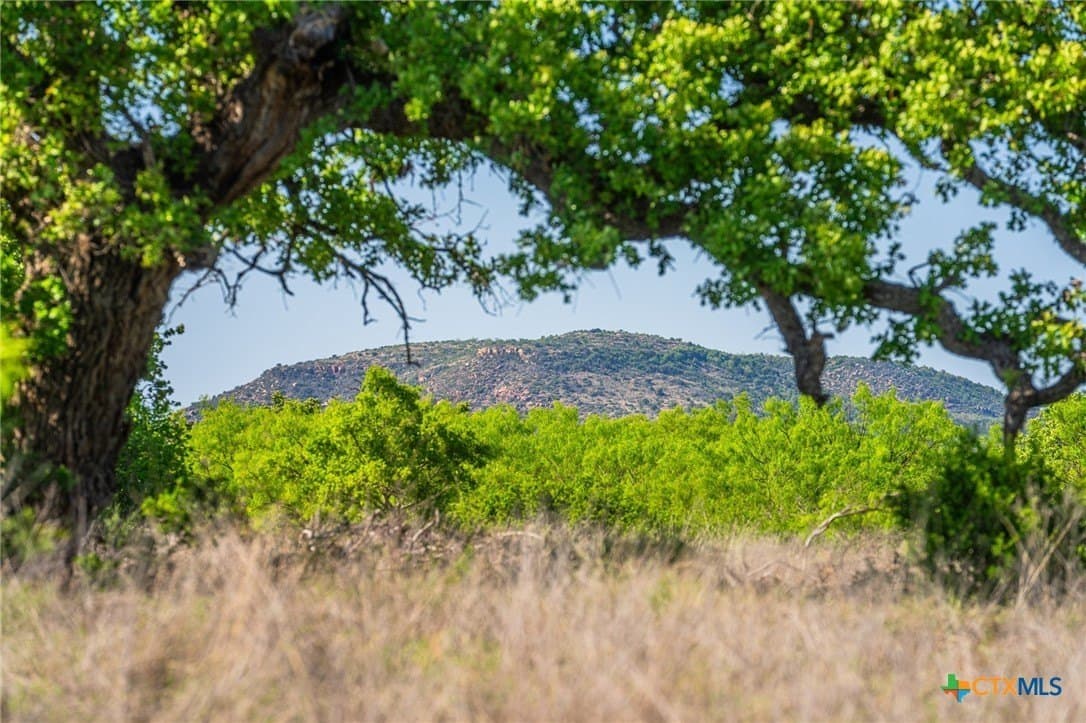 272 acres in Llano County - photo 3