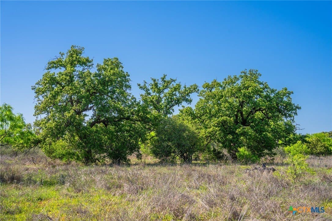 272 acres in Llano County - photo 20