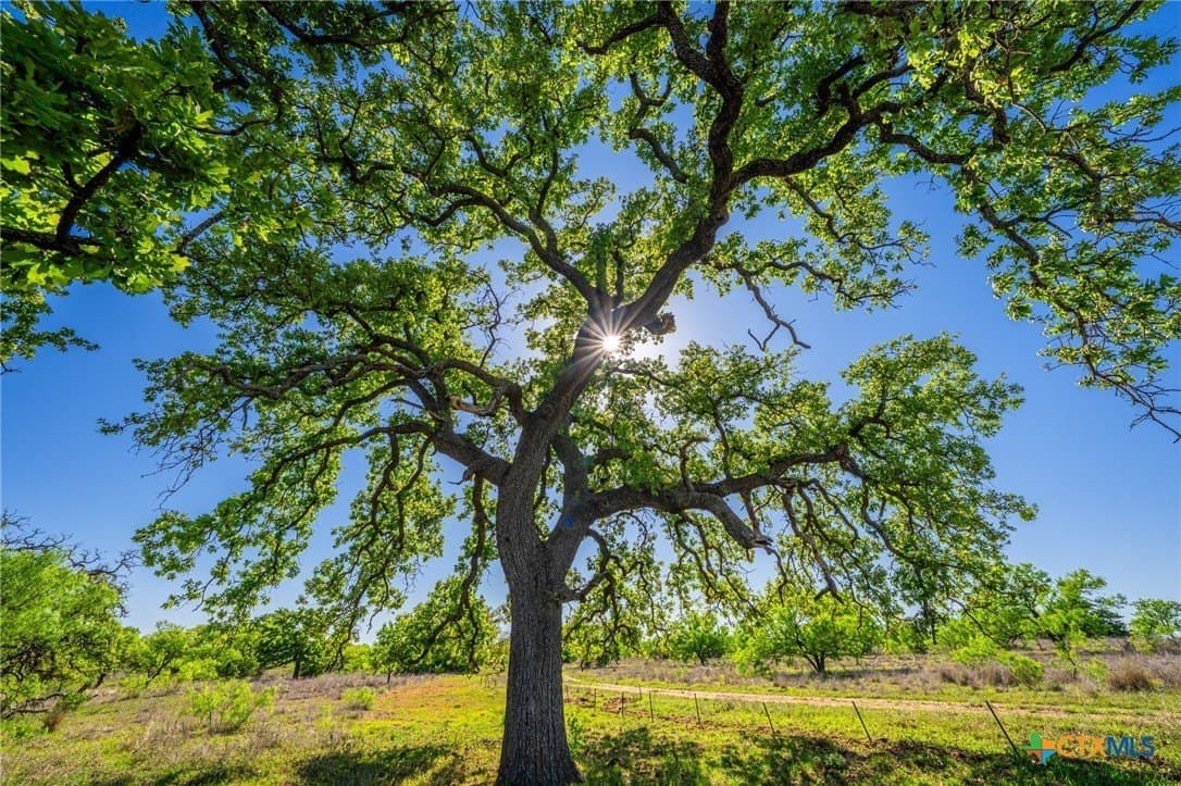 272 acres in Llano County - photo 5