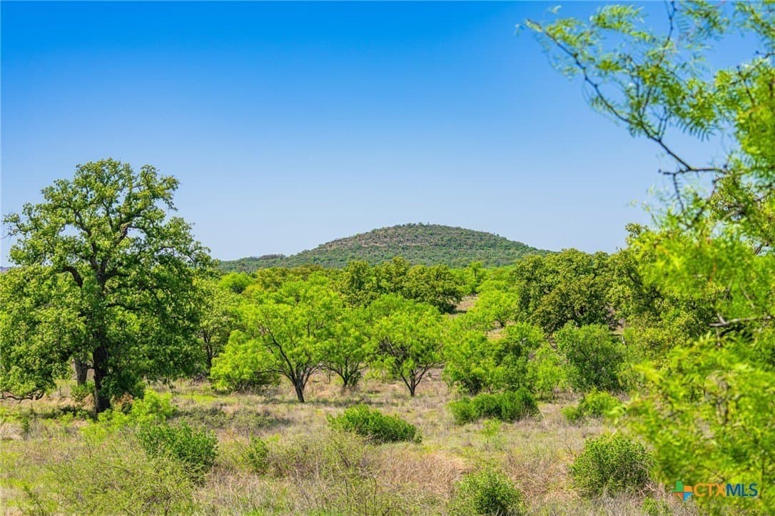 272 acres in Llano County - photo 10