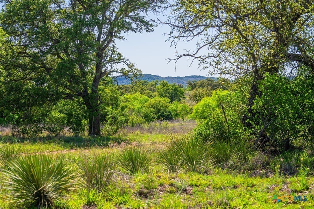 272 acres in Llano County - photo 9
