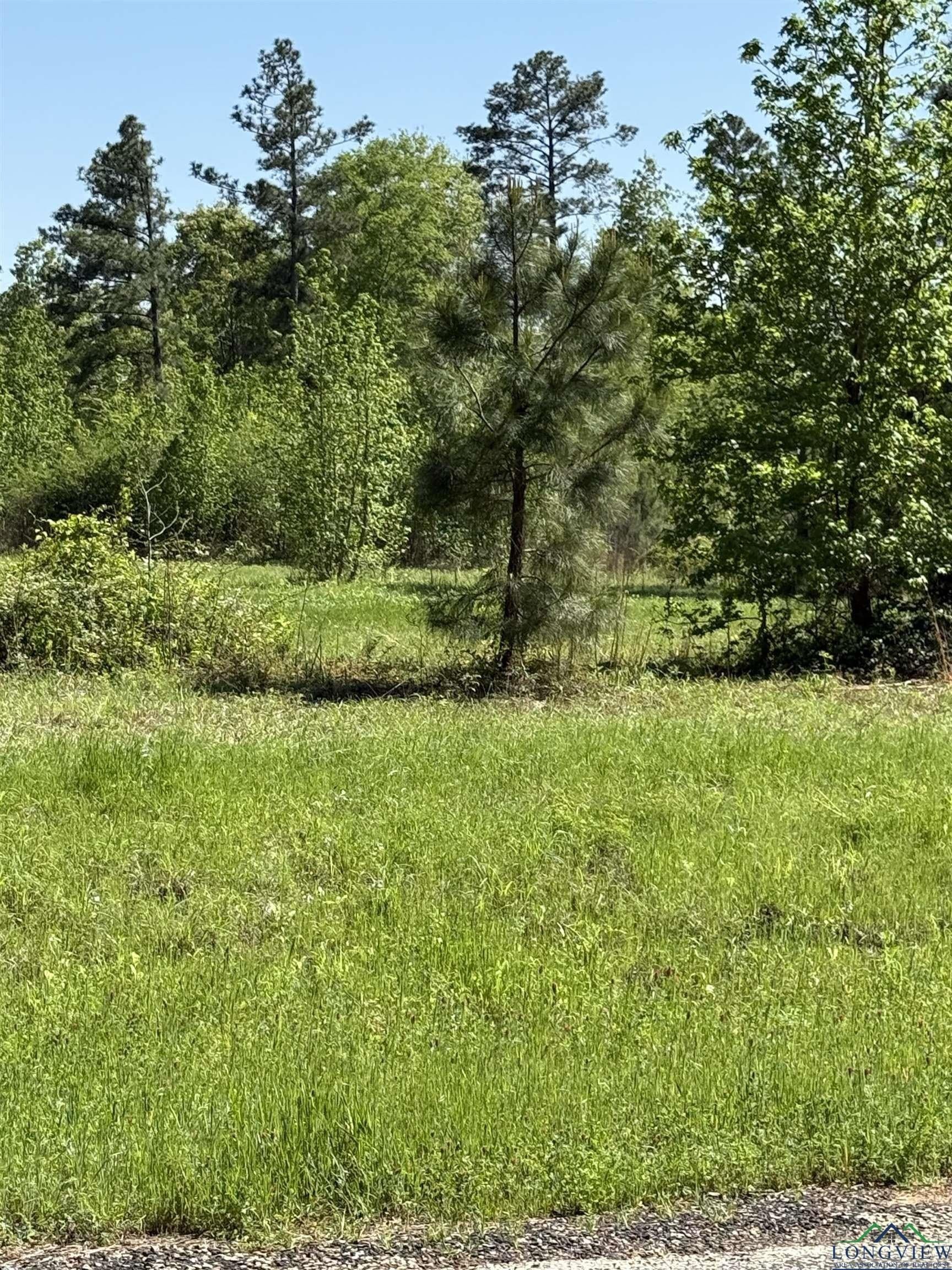 6 acres in Rusk County - photo 2