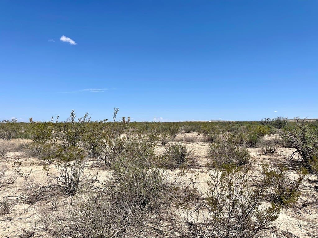 10 acres in Brewster County - photo 2