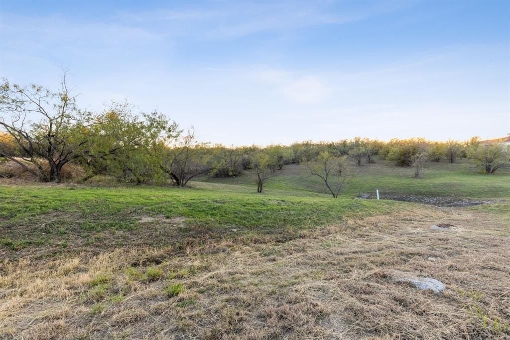 0.51 acres in Dallas County - photo 9