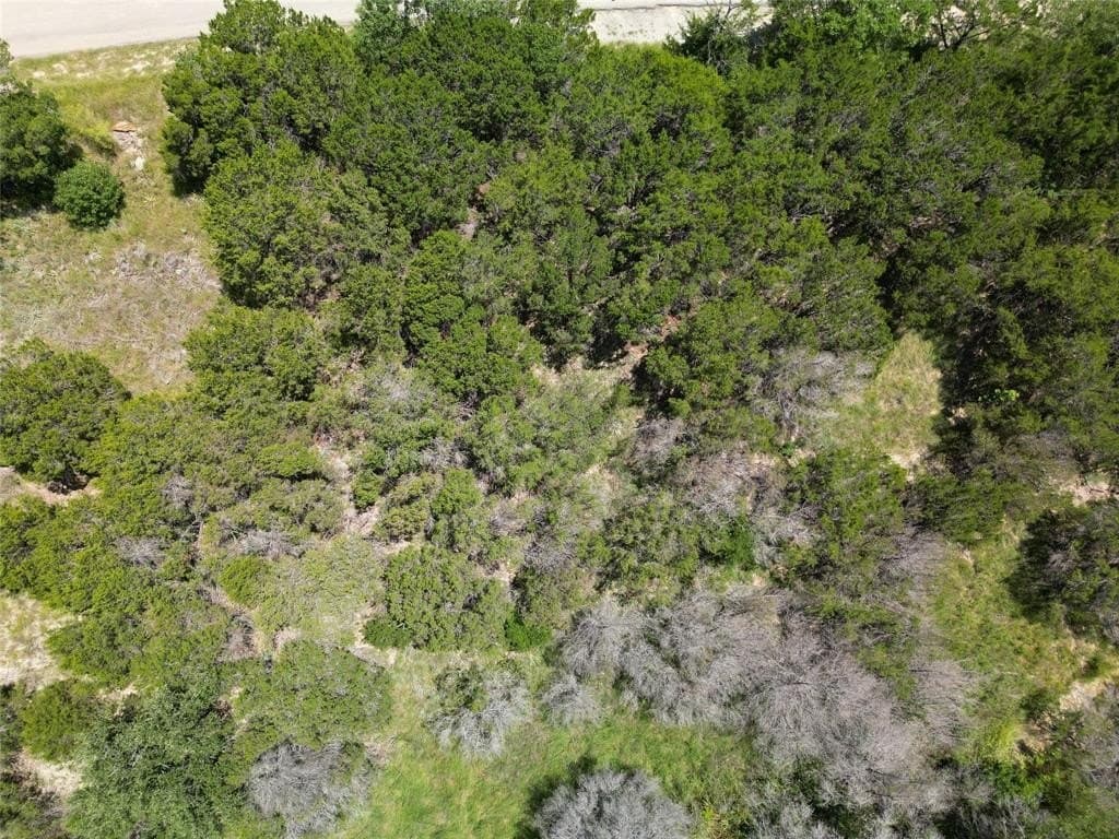 0.04 acres in Hood County - photo 5