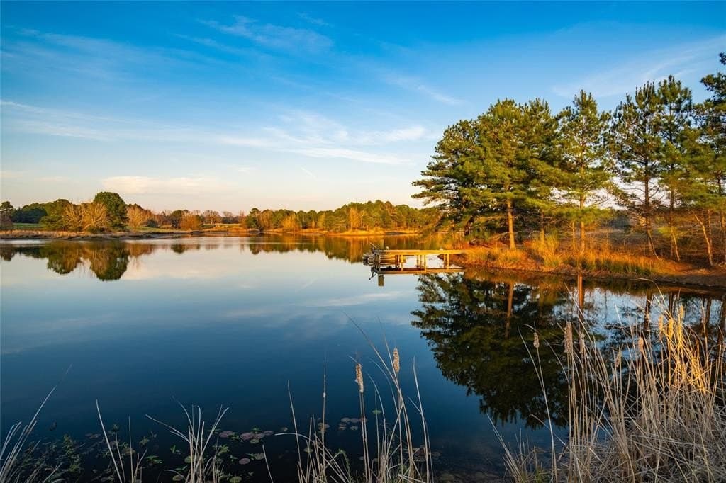 5 acres in Wood County - photo 37