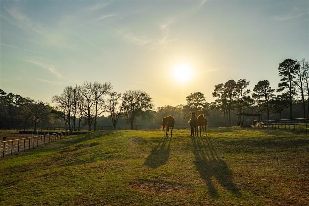 5 acres in Wood County - photo 34