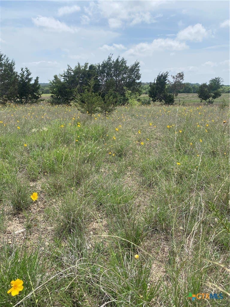 1.61 acres in Lampasas County - photo 11