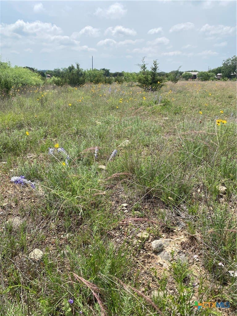 1.61 acres in Lampasas County - photo 6