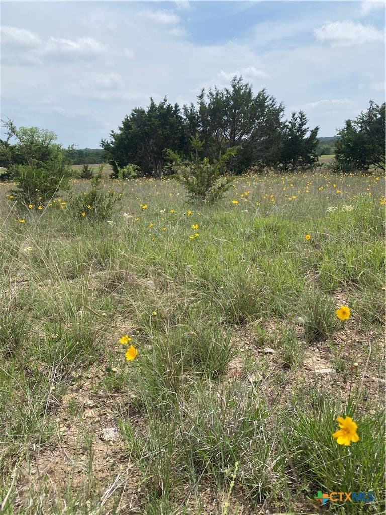 1.61 acres in Lampasas County - photo 12