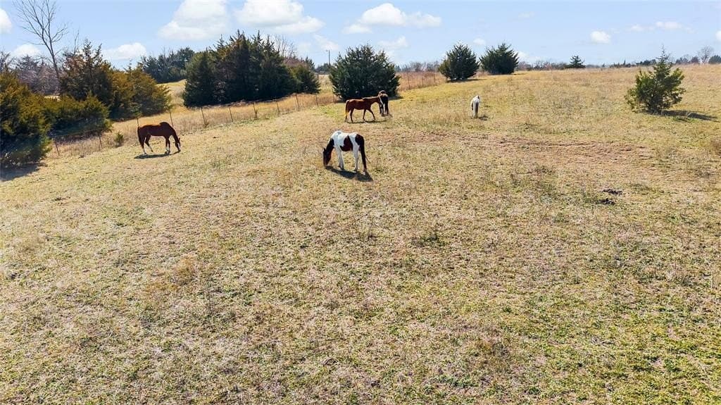 15.2 acres in Collin County - photo 28