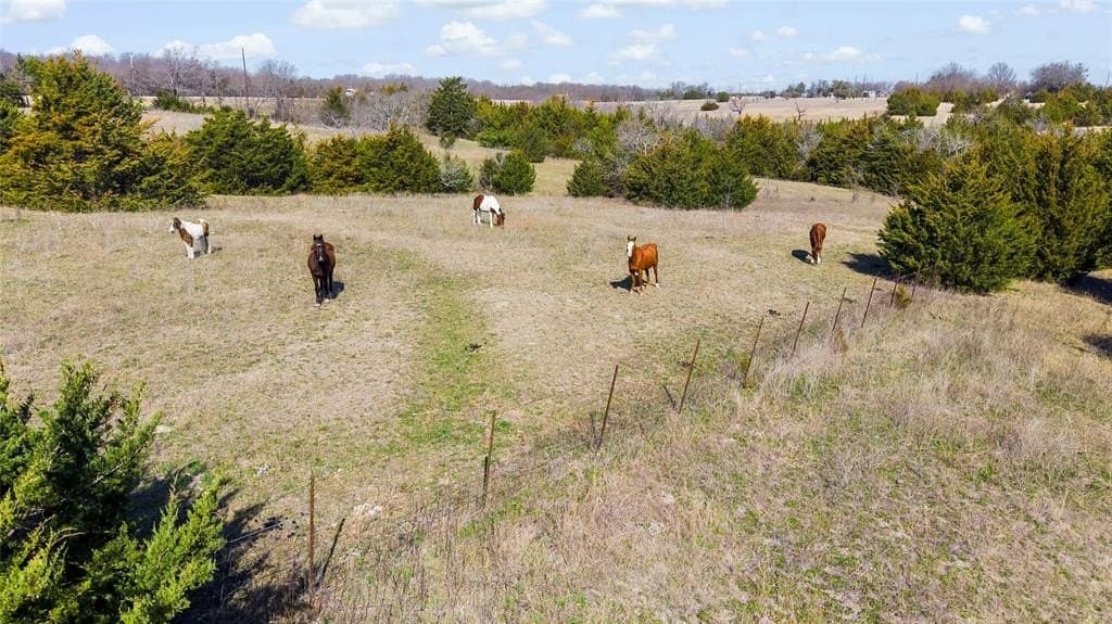 15.2 acres in Collin County - photo 12