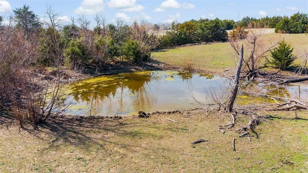 15.2 acres in Collin County - photo 13
