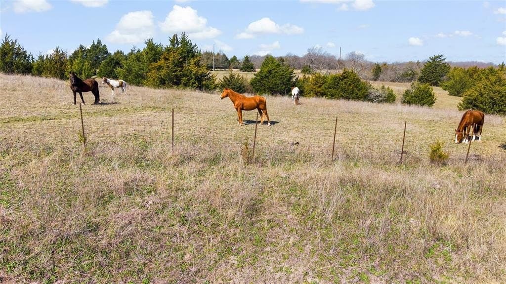 15.2 acres in Collin County - photo 27