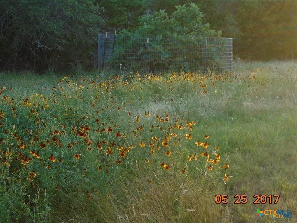 6.21 acres in Hays County - photo 6