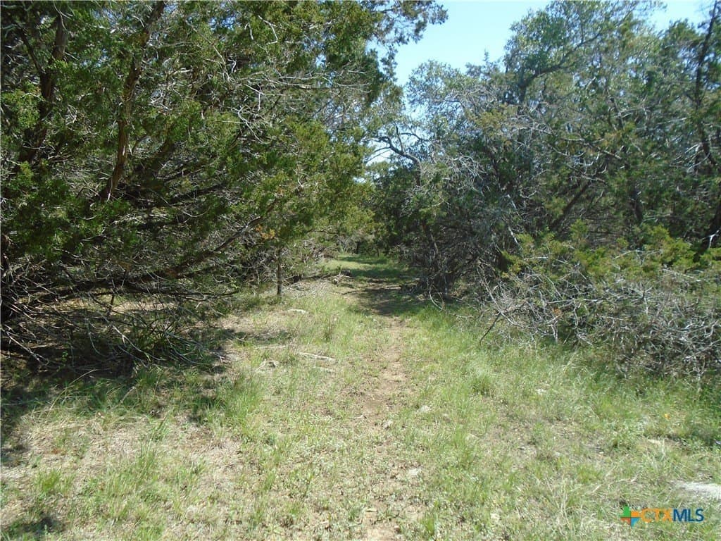 6.21 acres in Hays County - photo 5