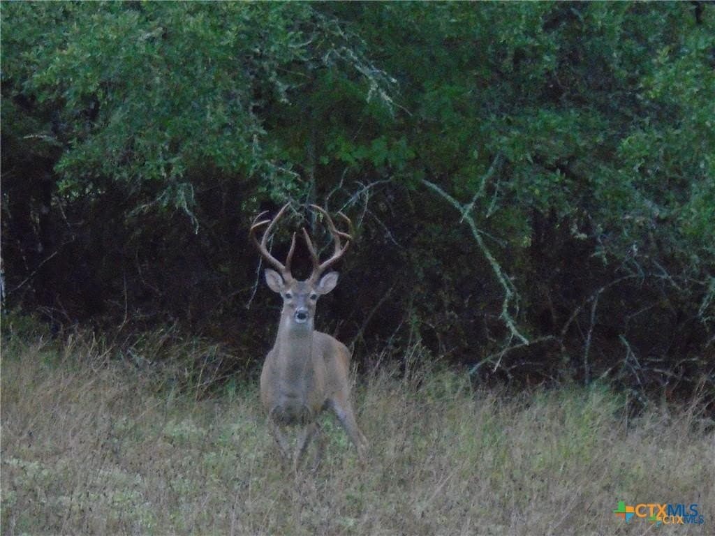 6.21 acres in Hays County - photo 7