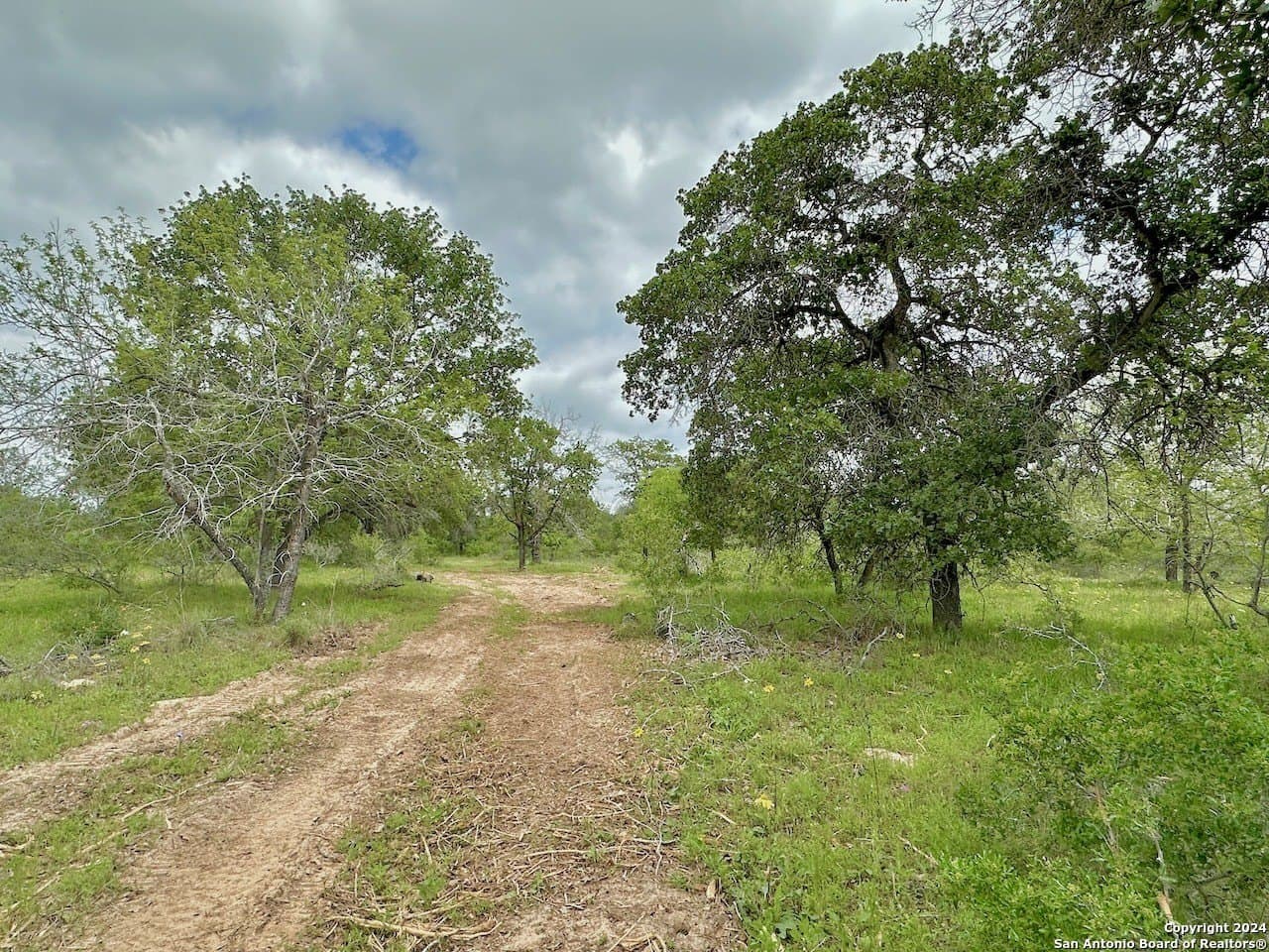 0 acres in Medina County - photo 29
